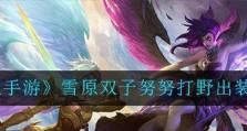 血珀洛攻略