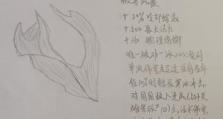 程咬金反盘技巧出装攻略（掌握程咬金的关键技巧，打造无敌反盘王）