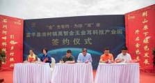 ANVIL禹智角色攻略（高效利用禹智技能提升战斗力）