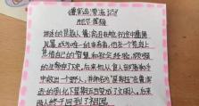 如何选择部落幸存者市长加成？（以效率为主要考量，实现全面发展）