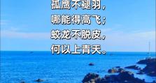 《崩坏3》严霜意志第九关长夜攻略（如何在长夜中获得胜利）