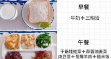 《山海北地炖菜大全》（游戏中的佳肴，一口咂爽！）