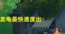 龙龟崛起（高效击溃对手，一统战场的绝佳装备选择）