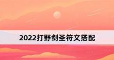 剑圣打野符文出装攻略（带你一探剑圣打野的奥秘，如何选择符文出装提高战斗力）