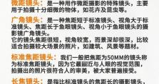 《掌握摄影手游攻略，成为游戏中的摄影大师》（打造最终攻略，摄影技巧无敌+搭配绝佳剧情，享受游戏乐趣）