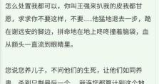 《以父子铭文出装攻略》（父子铭文搭配、装备选择及技巧分享）