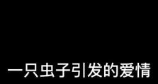 破蛹虫子出装攻略（打造无敌强力输出——破蛹虫子出装攻略）