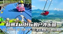飞人最强出装攻略（终结敌人无敌的神装组合，让飞人更上一层楼）
